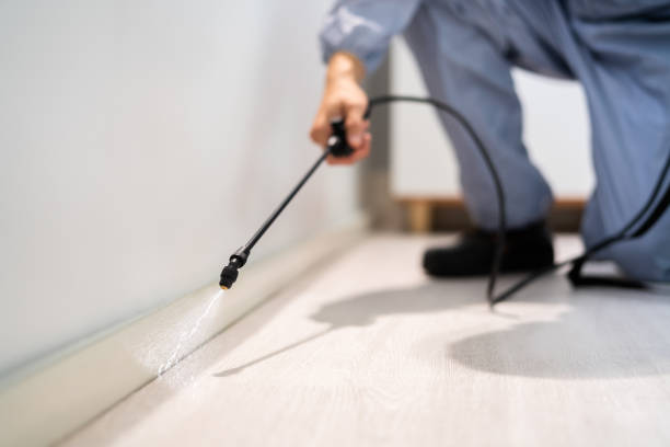 Bed Bug Pre-Treatment Preparation Assessment in Necedah