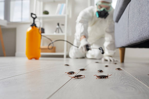 Post-Treatment Bed Bug Interceptor Monitoring in Necedah