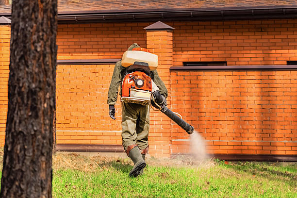 Bed Bug Clearance Verification and Documentation in Necedah